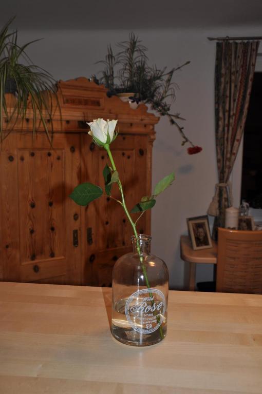Apartmenthaus Dornroeschen Ramsau am Dachstein Luaran gambar