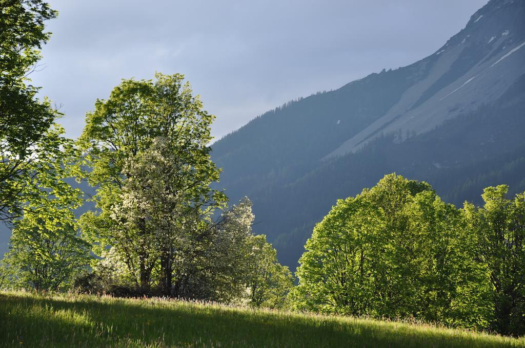 Apartmenthaus Dornroeschen Ramsau am Dachstein Luaran gambar